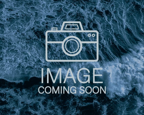 Image Coming Soon